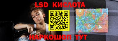 PSILOCYBIN Бугуруслан